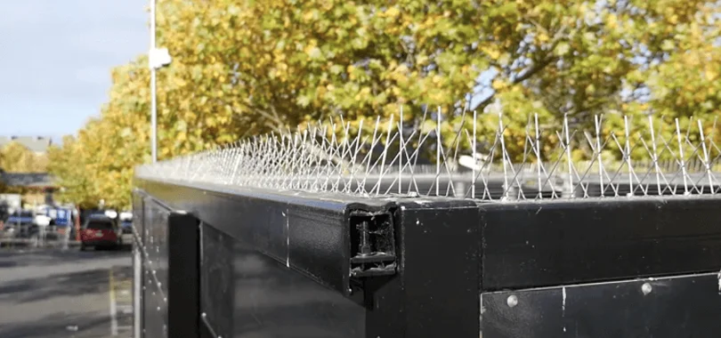 Bird Spikes in Bangalore