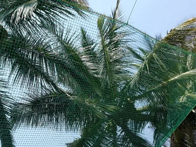 Safety Nets in Bangalore